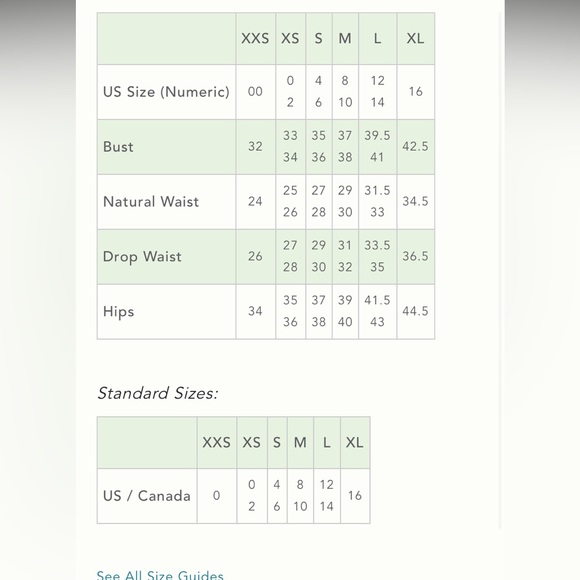 NWT Anthropologie Blue Tassel Brand Mini Dress. Size L - Picture 15 of 16